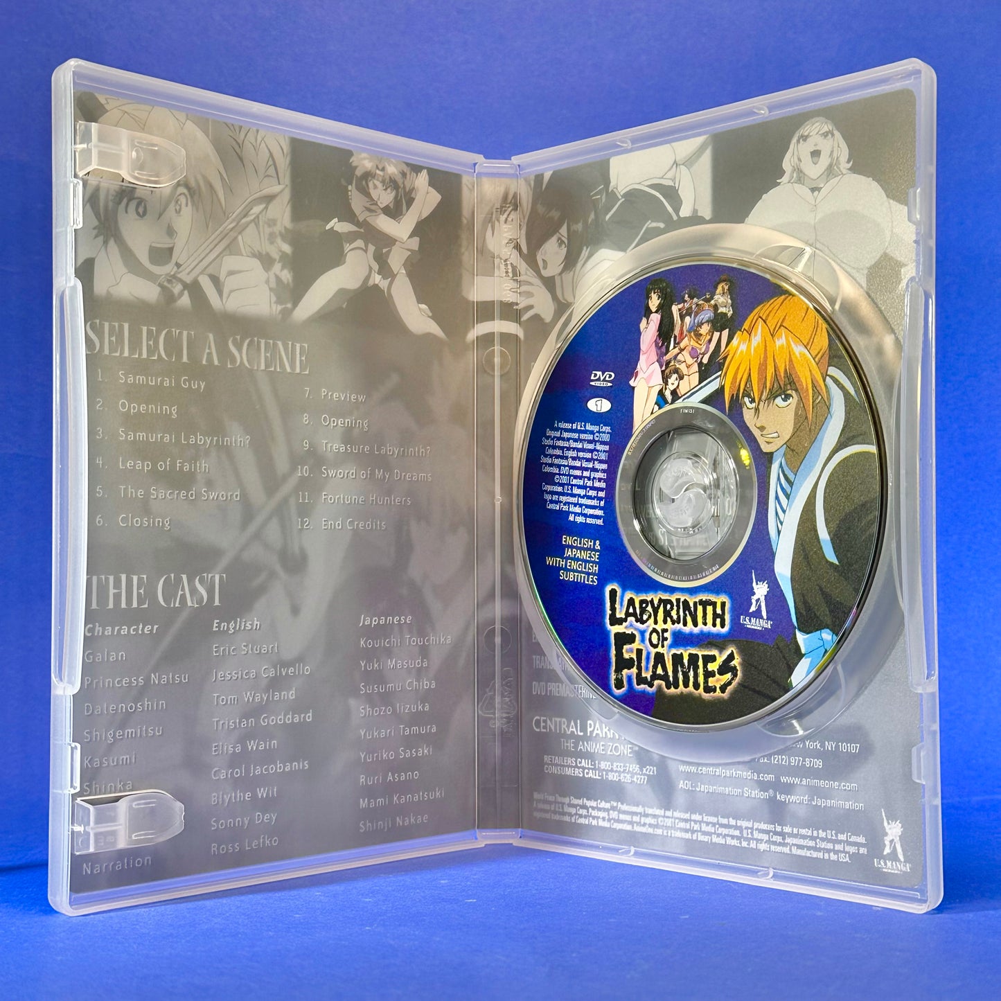 Labyrinth of Flames DVD