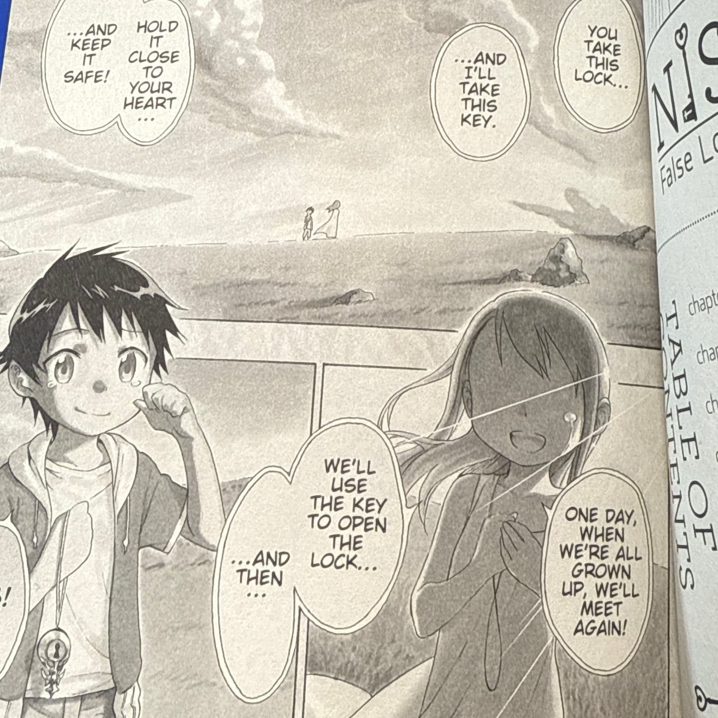 Naoshi Komi - Nisekoi: False Love Manga