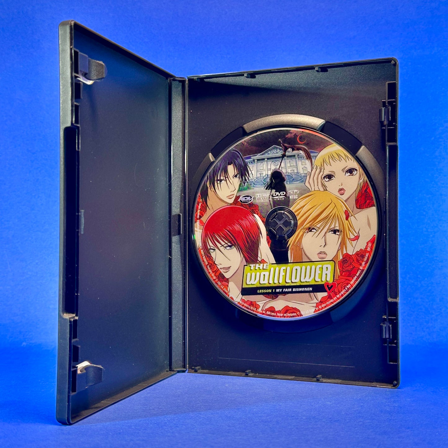 The Wallflower - DVD