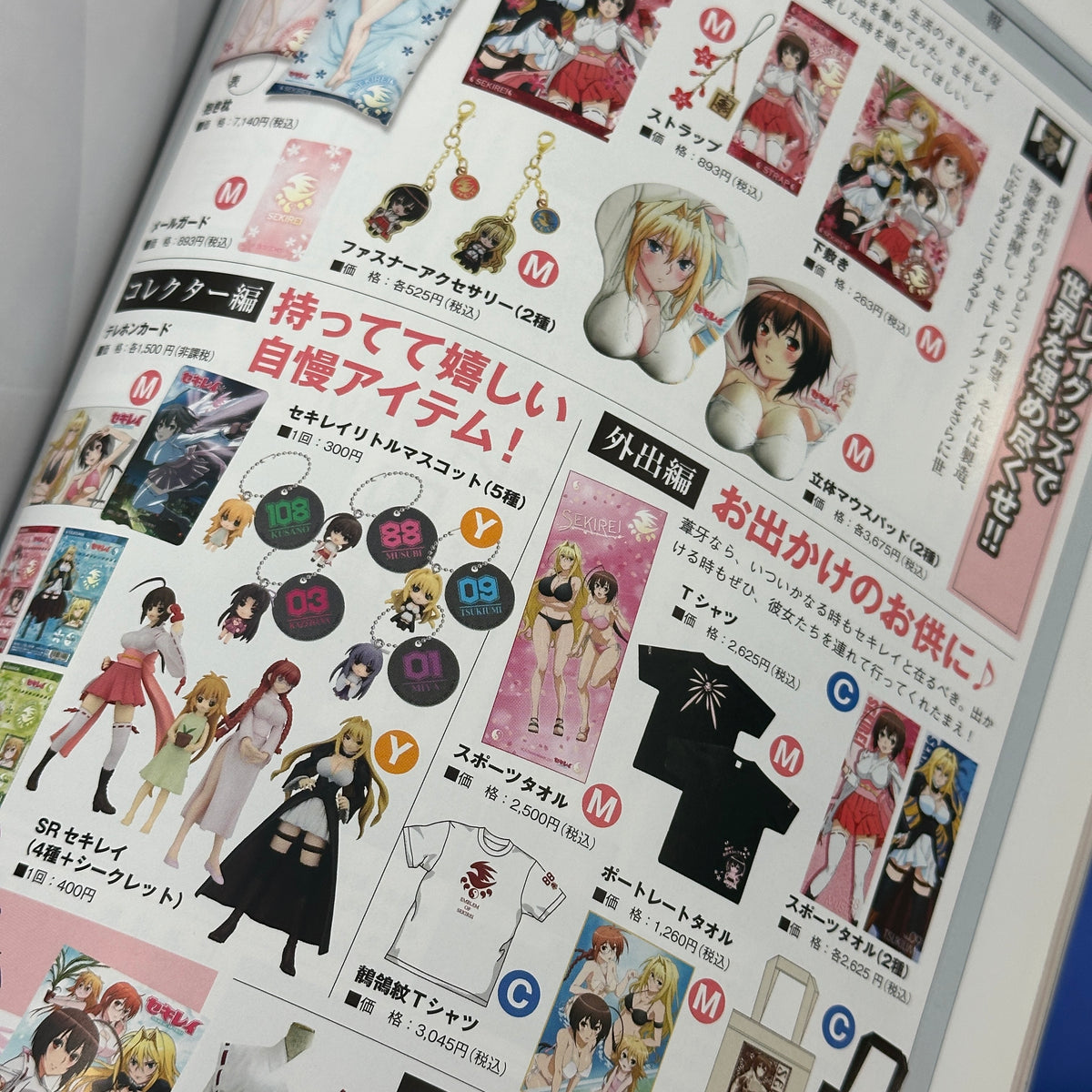 Sekirei TV Animation Official Fanbook: Allurement