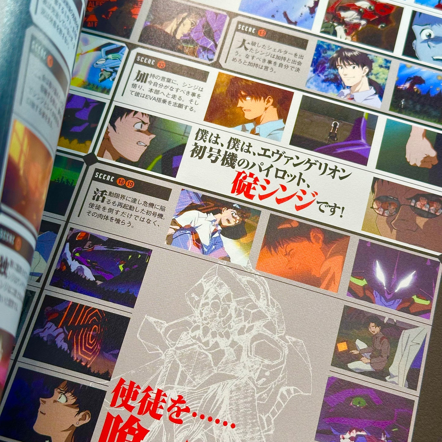 Neon Genesis Evangelion: Essential Chronicle ~SIDE B~ Art Book