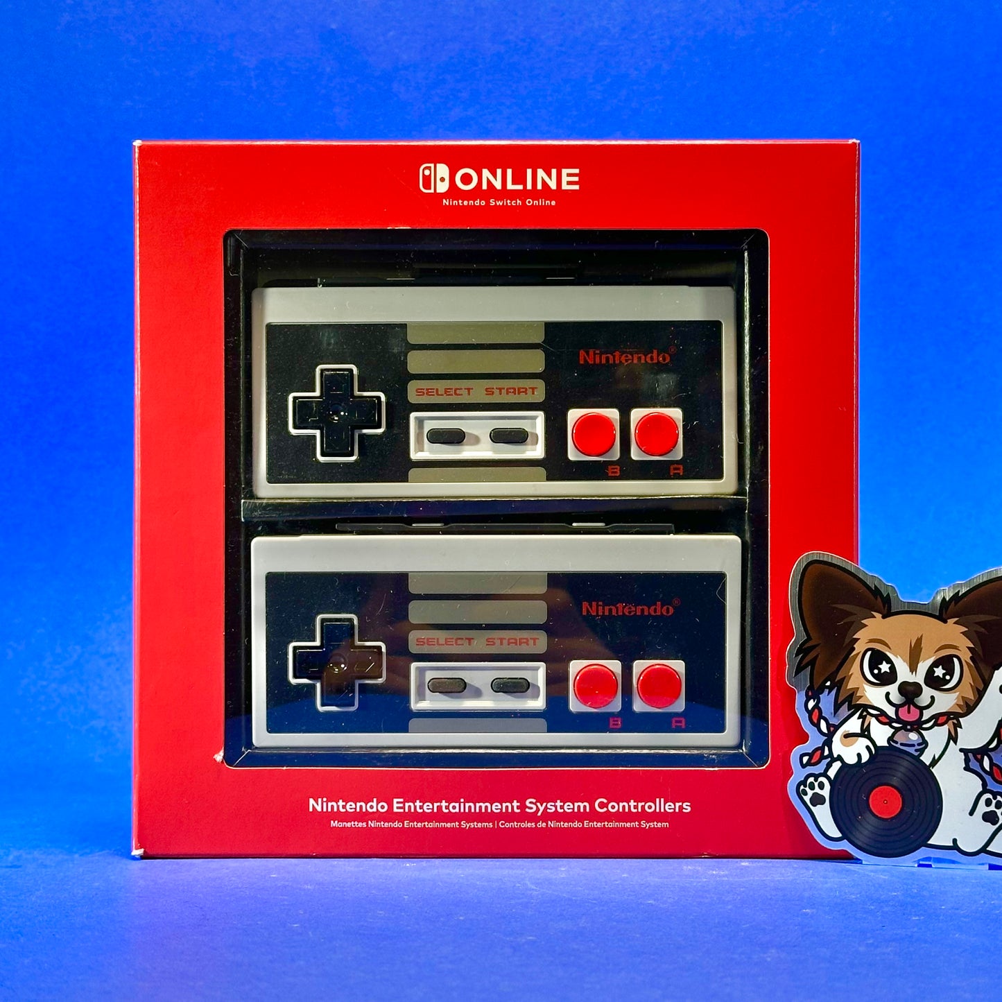 Nintendo Switch NES Controllers