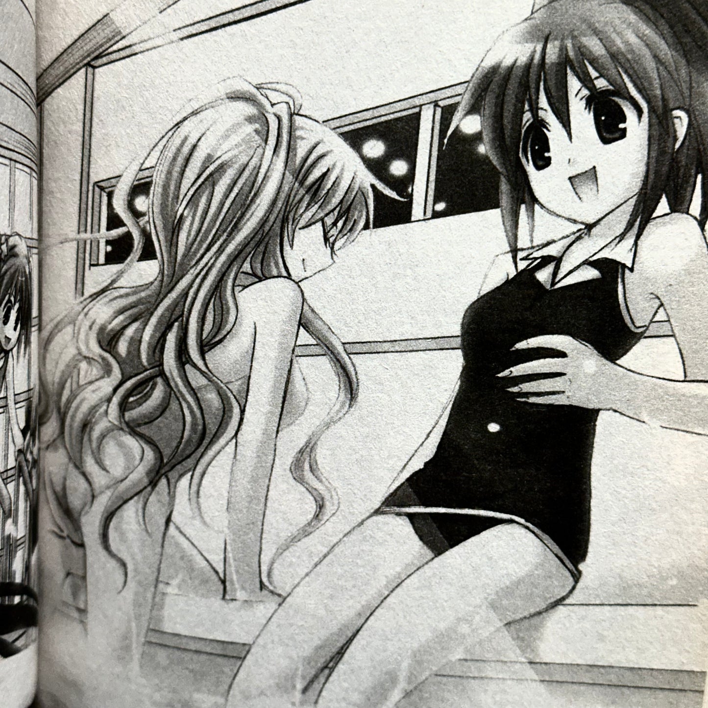 Sakurako Kimino - Strawberry Panic Light Novel