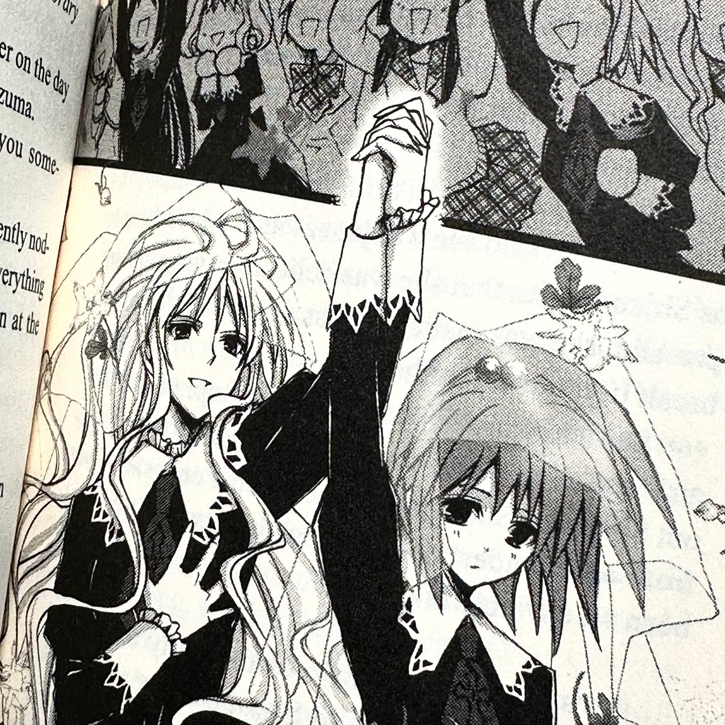 Sakurako Kimino - Strawberry Panic Light Novel