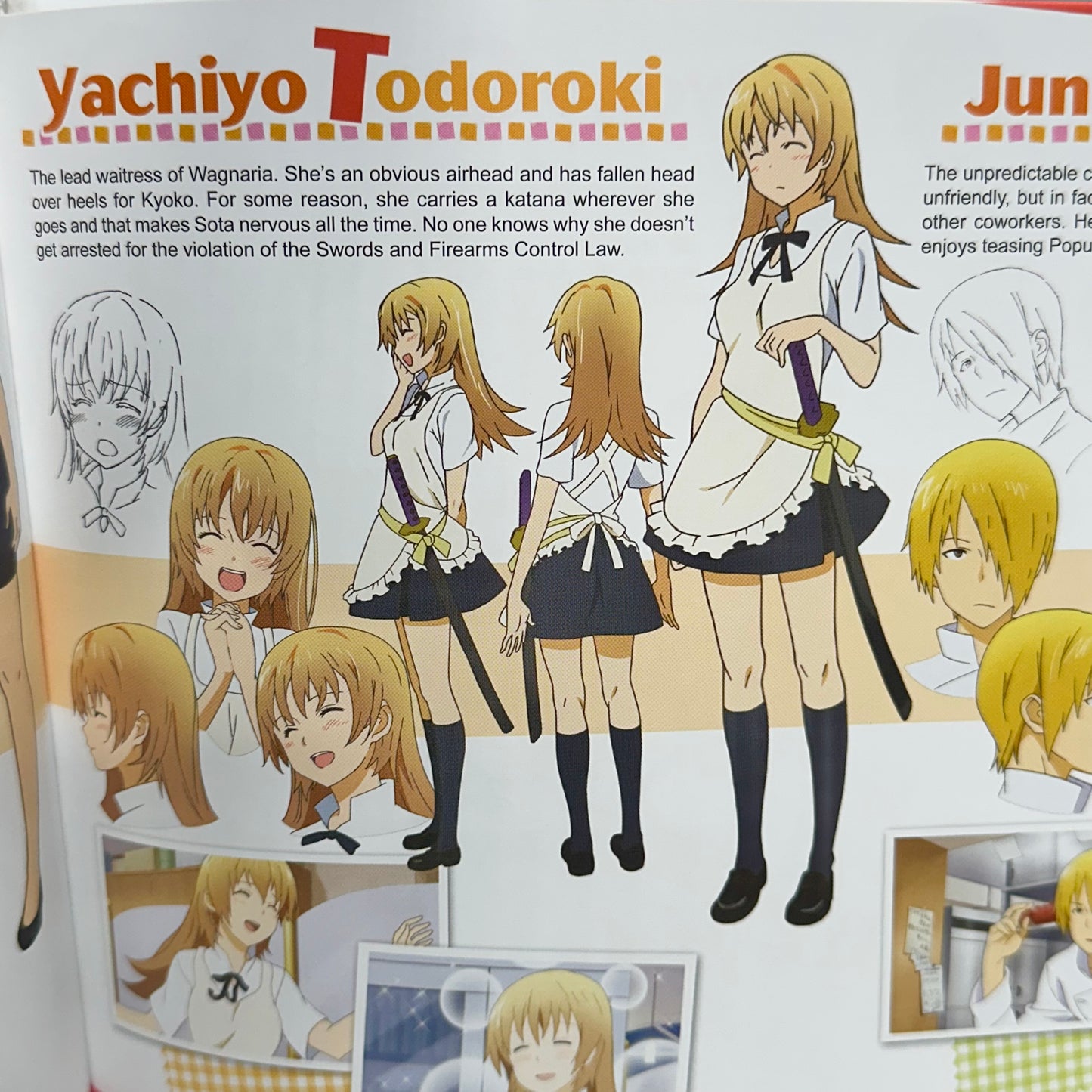 Wagnaria!! (Aka Working!!) - Blu-ray