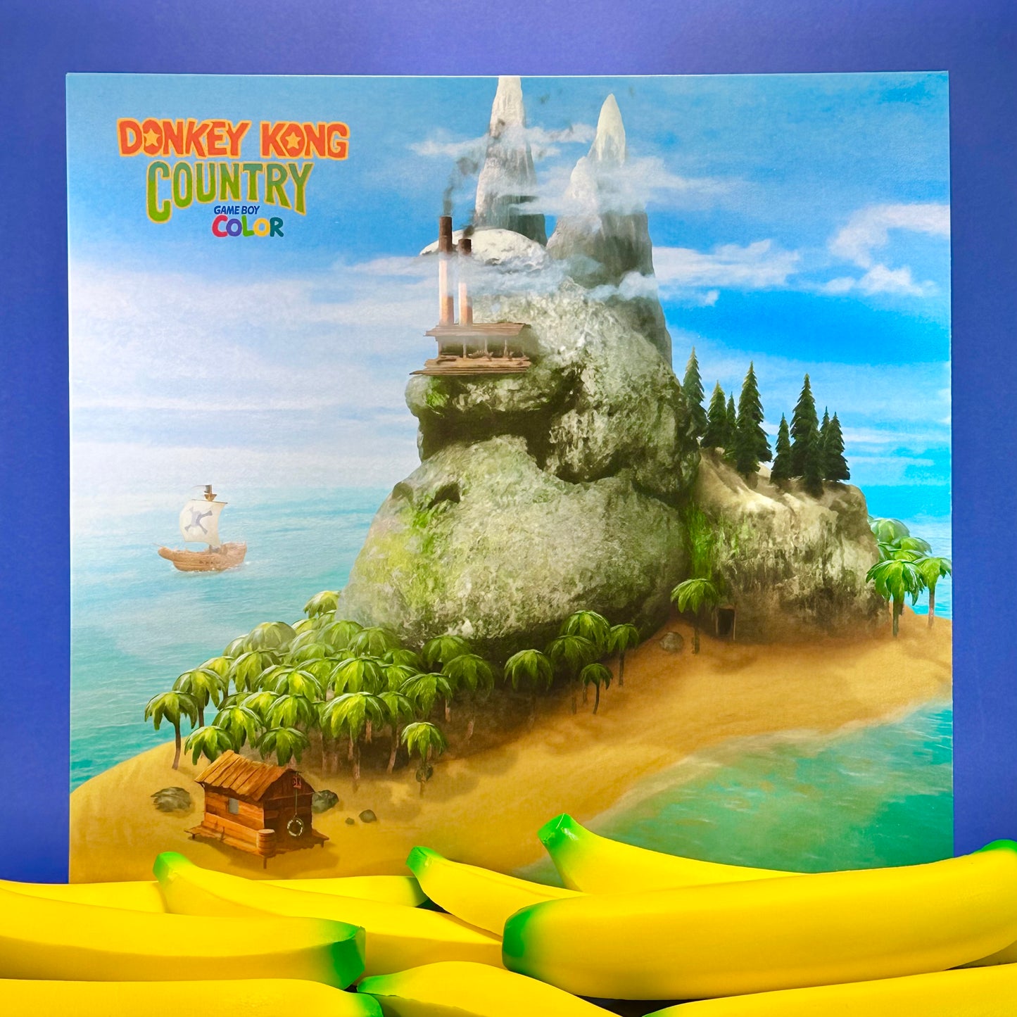 Donkey Kong GBC - Vinyl Record