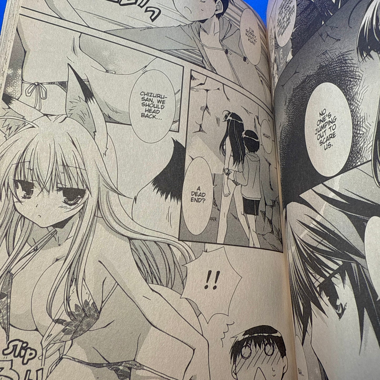 Katsumi Nishino & Rin Yamaki - Kanokon Manga