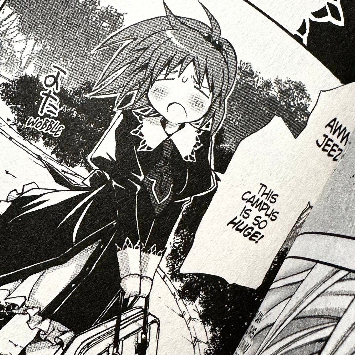 Sakurako Kimino - Strawberry Panic Manga