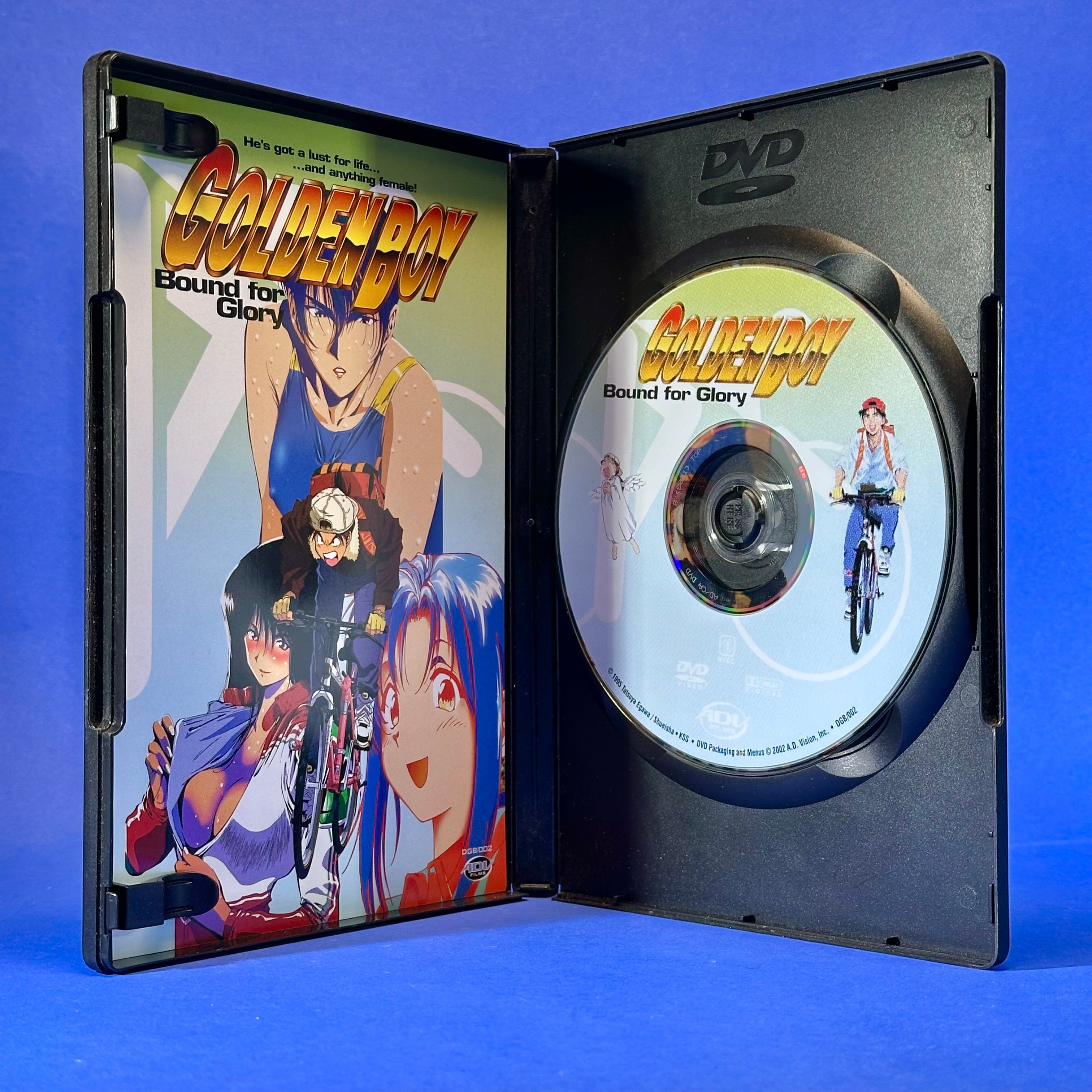 Golden Boy DVD – HiFi LoFi