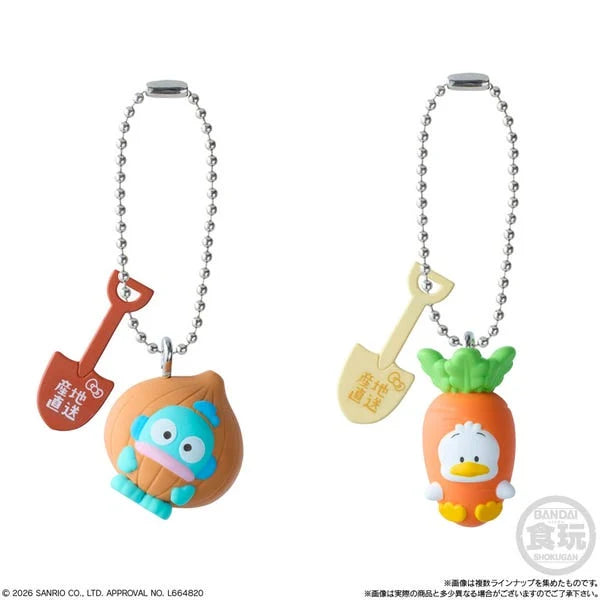 Bandai - Sanrio Hello Kitty and Friends ~Wave 3~ Shokugan Blind Box