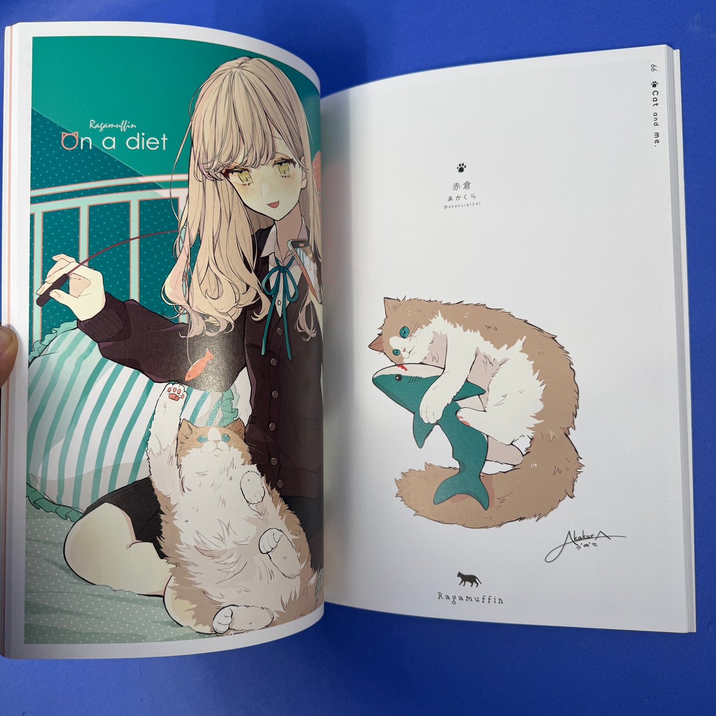 Cat & Me (Neko To Watashi) Illustration Book