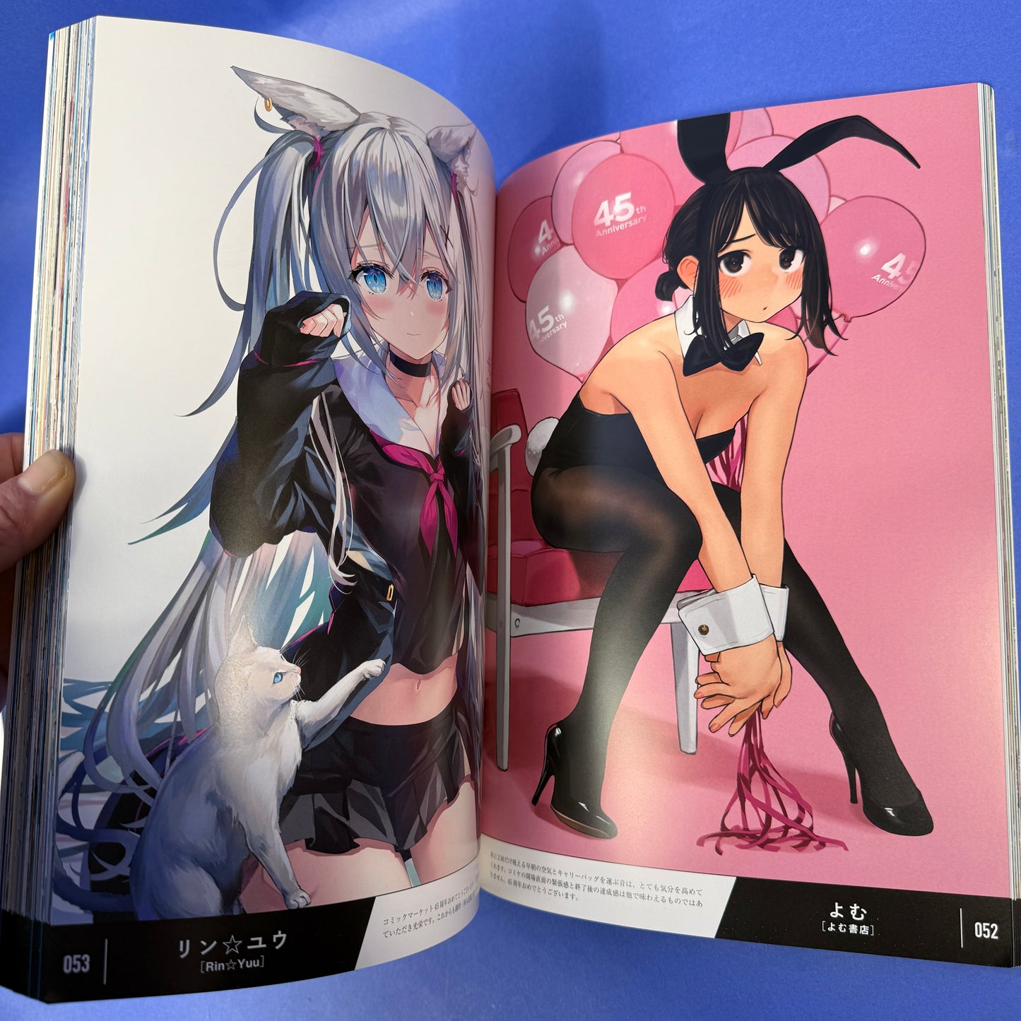 Comiket 45th Anniversary Illustration Book