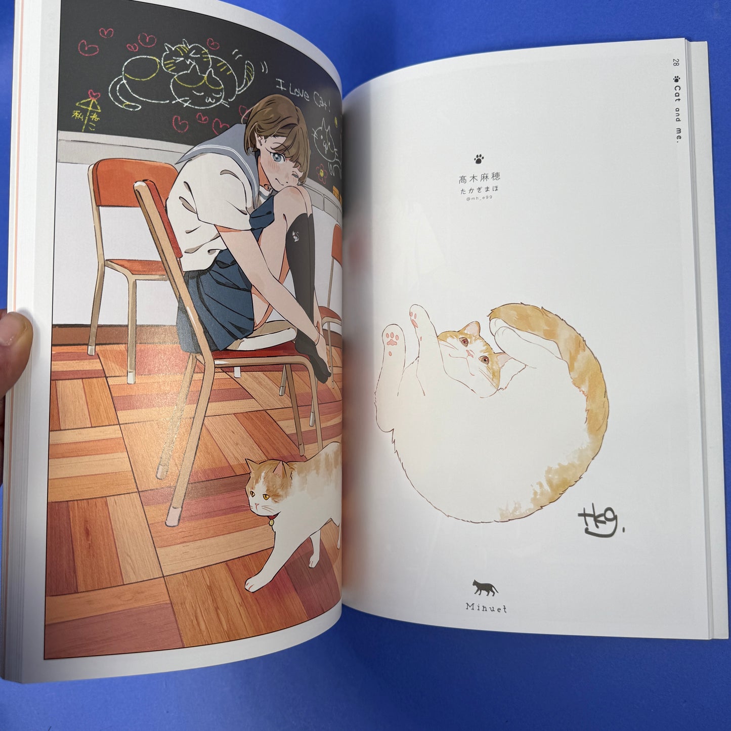 Cat & Me (Neko To Watashi) Illustration Book