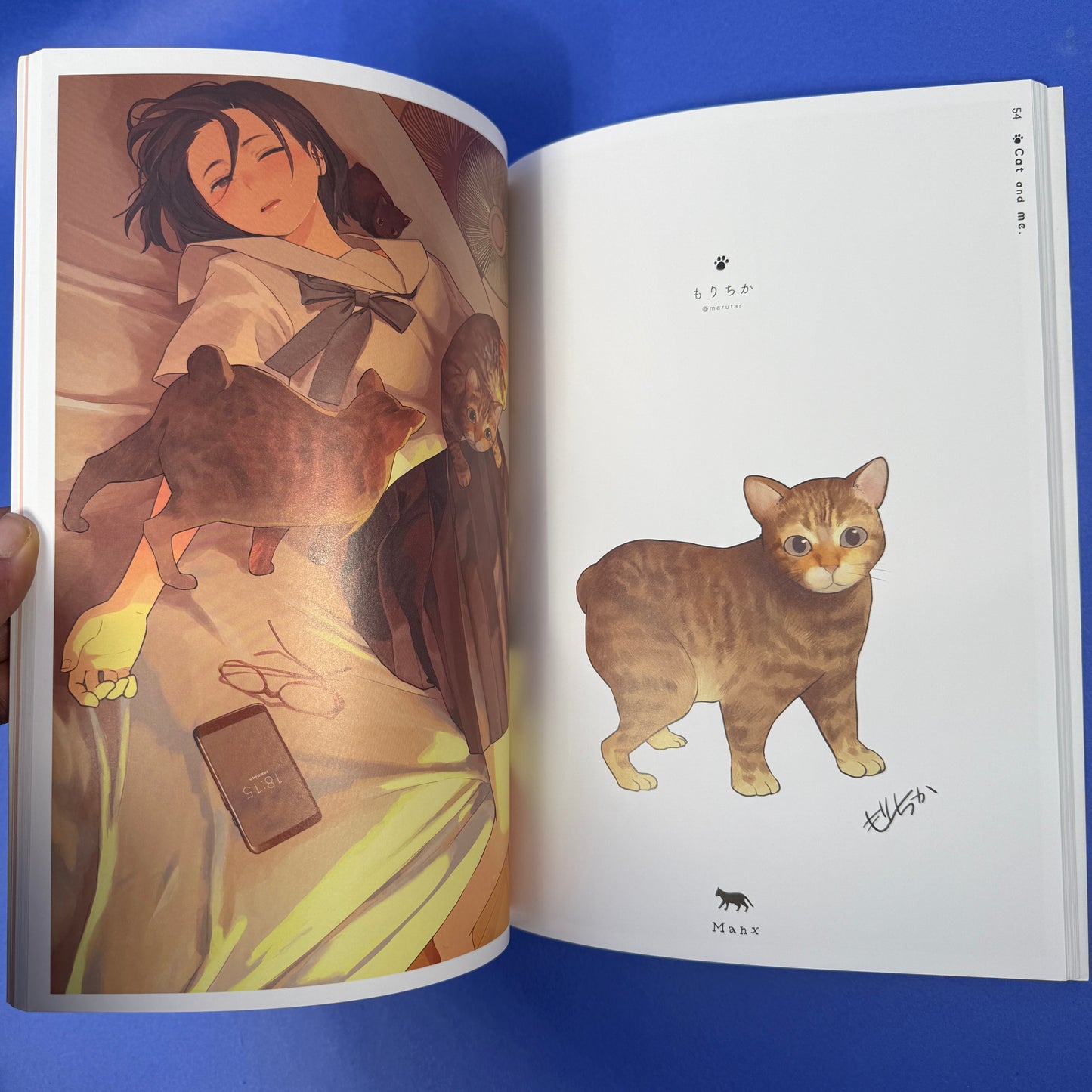 Cat & Me (Neko To Watashi) Illustration Book