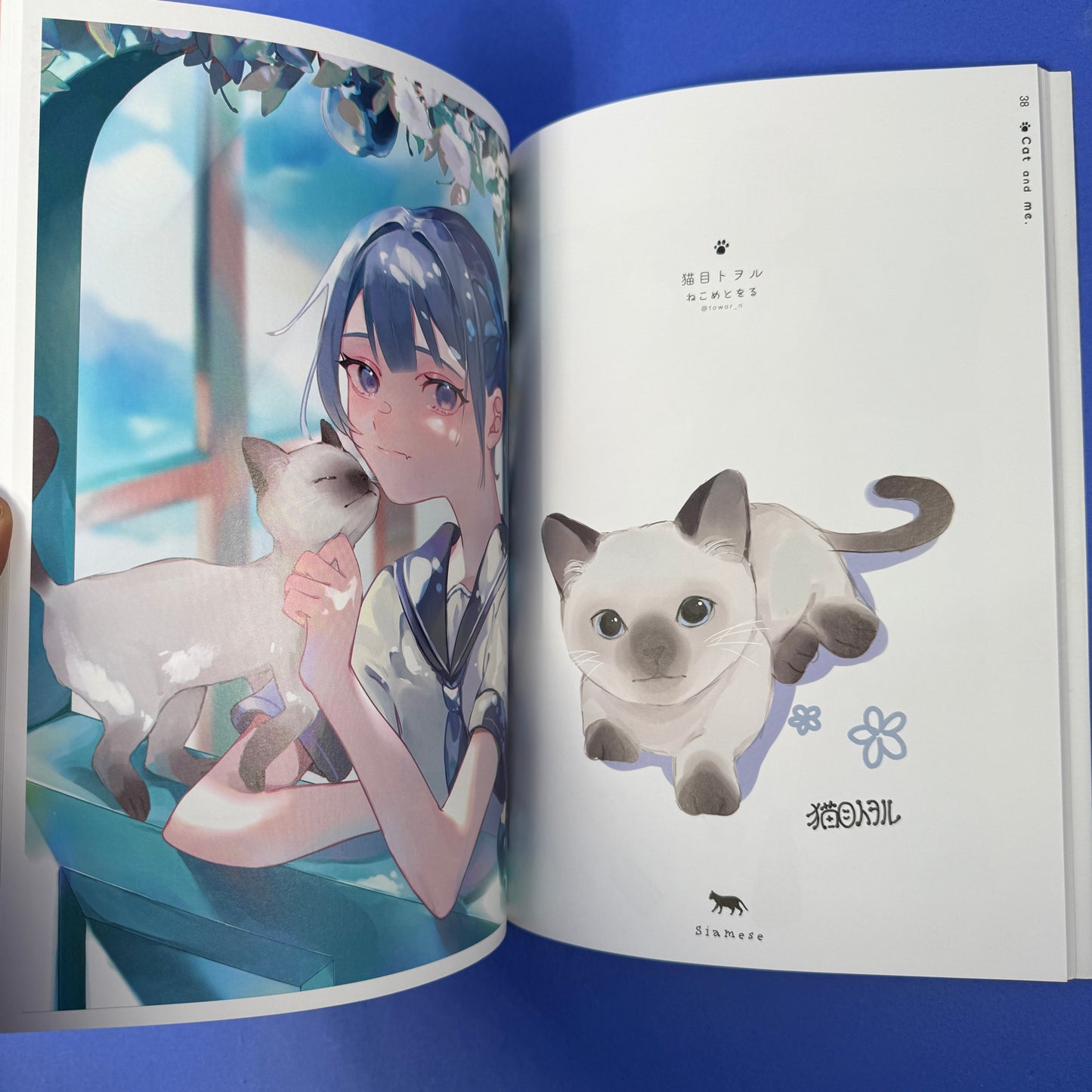 Cat & Me (Neko To Watashi) Illustration Book