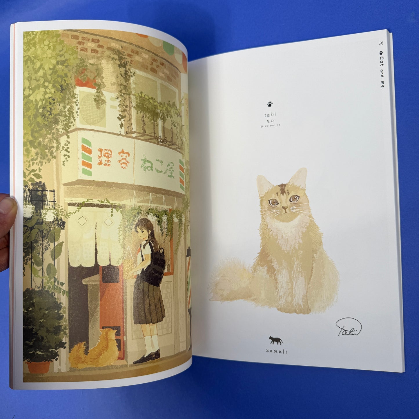 Cat & Me (Neko To Watashi) Illustration Book