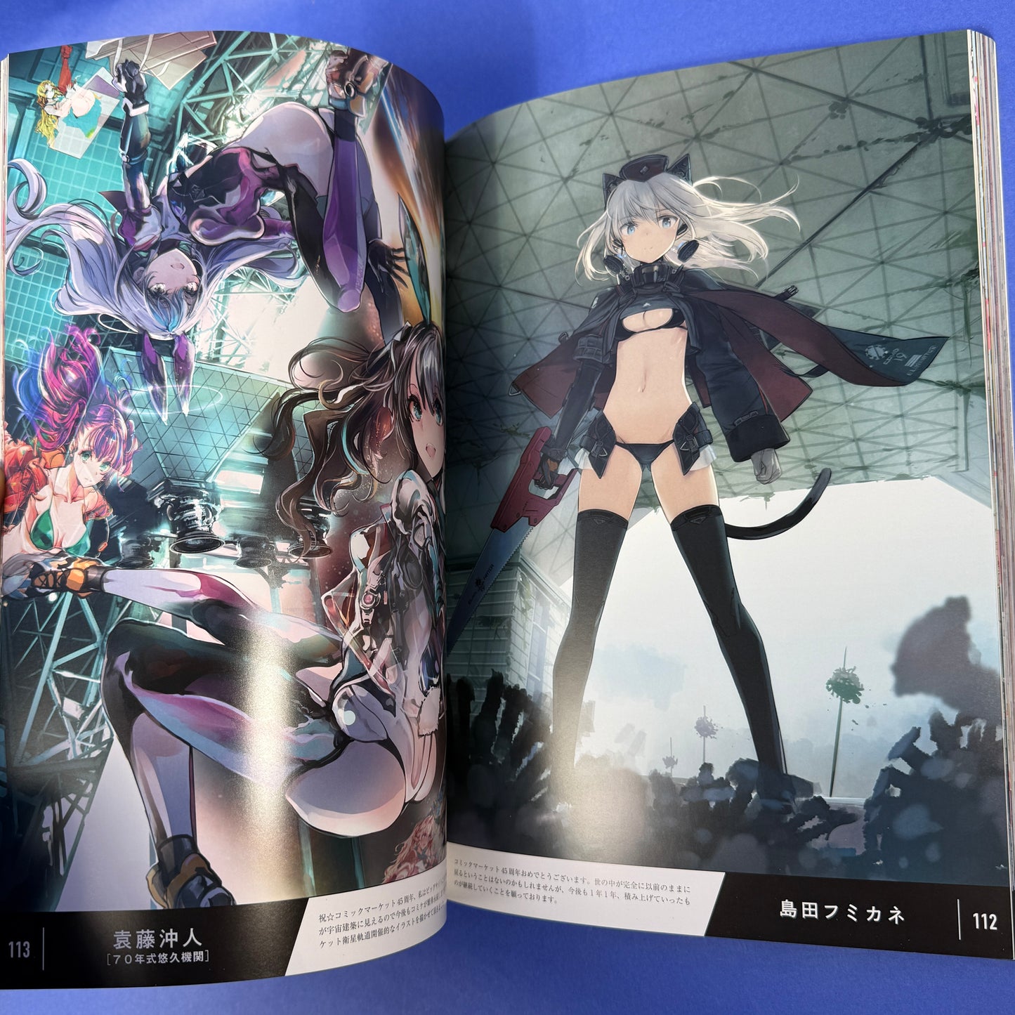 Comiket 45th Anniversary Illustration Book