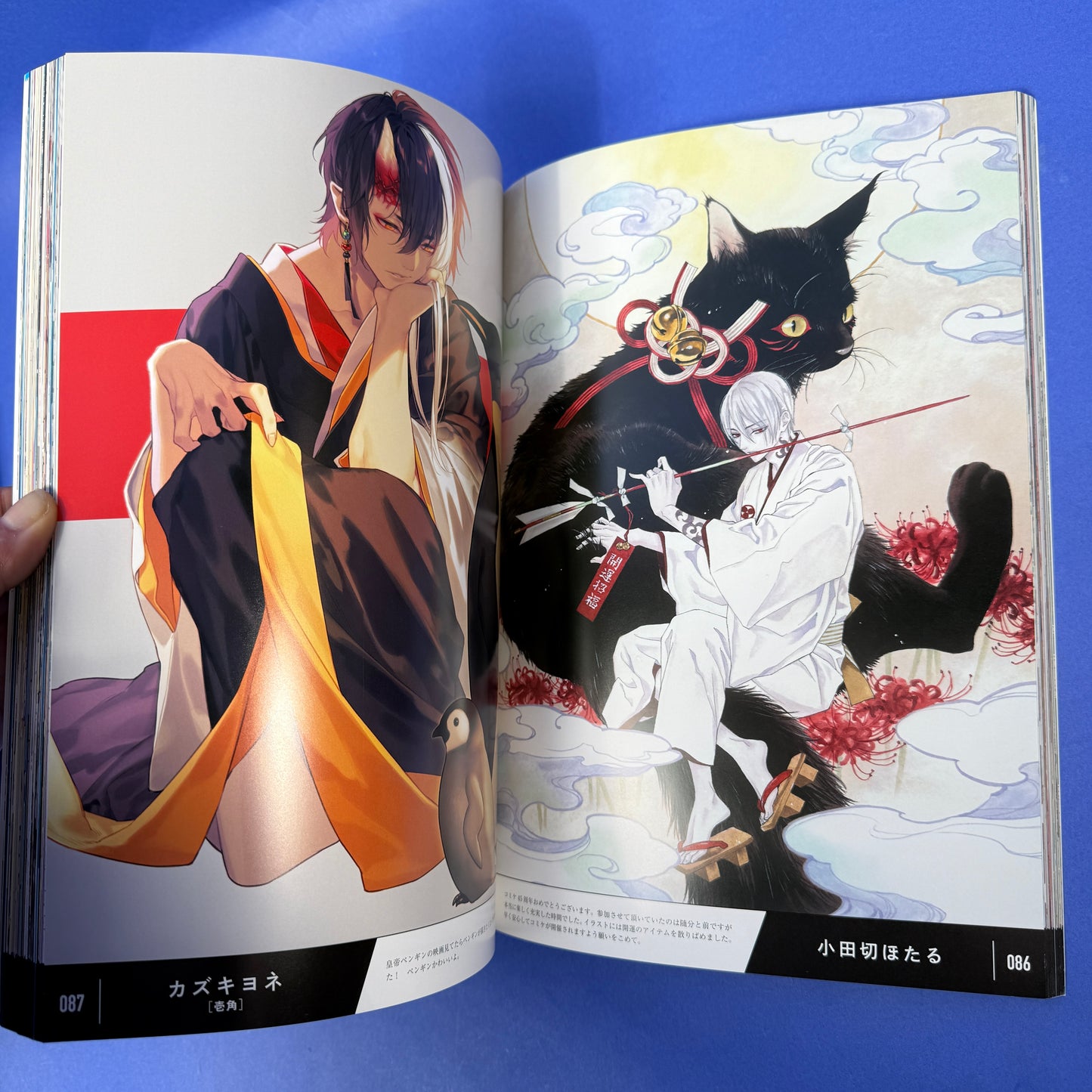 Comiket 45th Anniversary Illustration Book