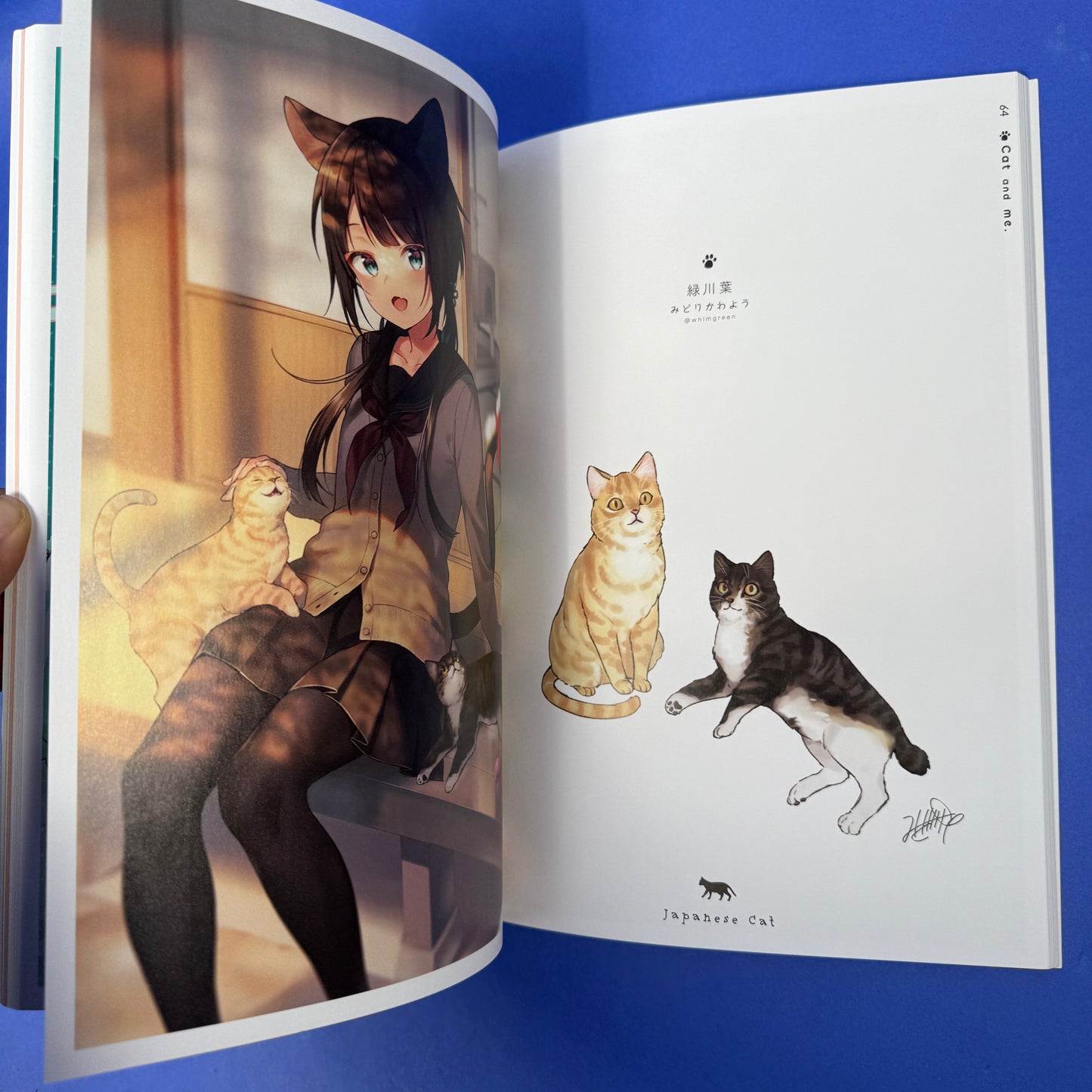 Cat & Me (Neko To Watashi) Illustration Book