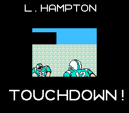 Tecmo Bowl - NES