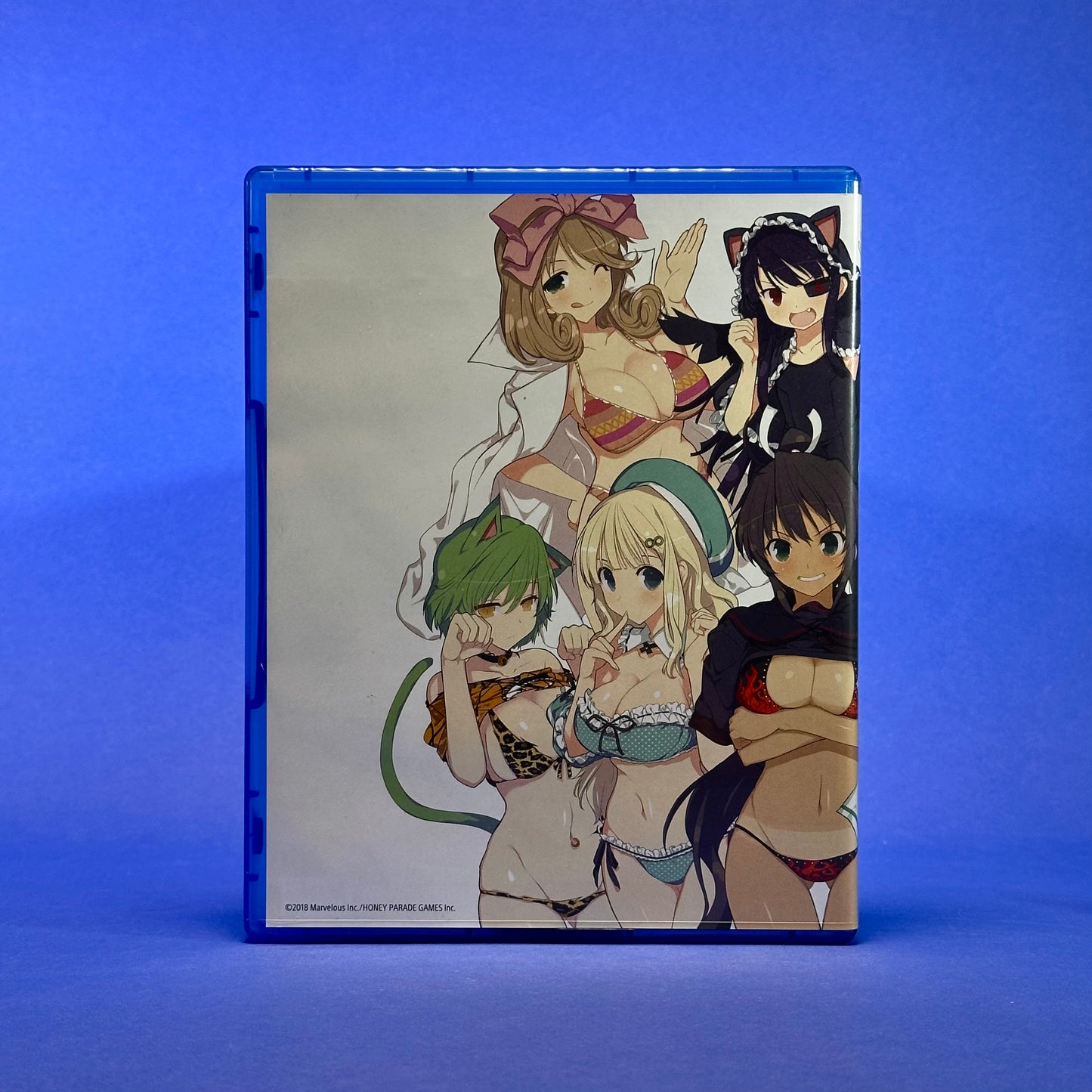 Senran Kagura Burst Re:Newal ~ Limited Edition - PlayStation 4