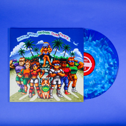 Windjammers Vinyl Record