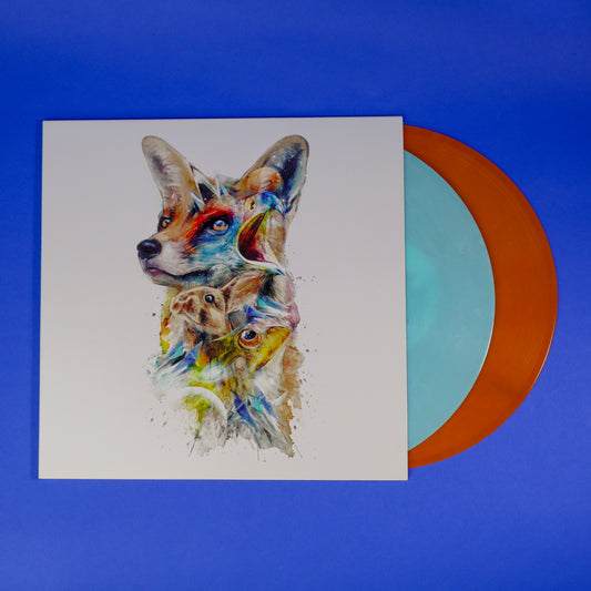 Star Fox Vinyl Record