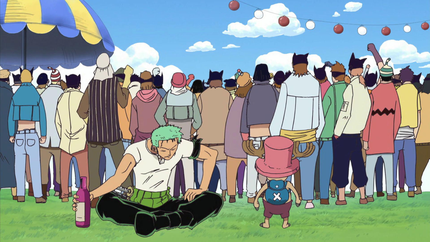 One Piece - Collection 9 DVD