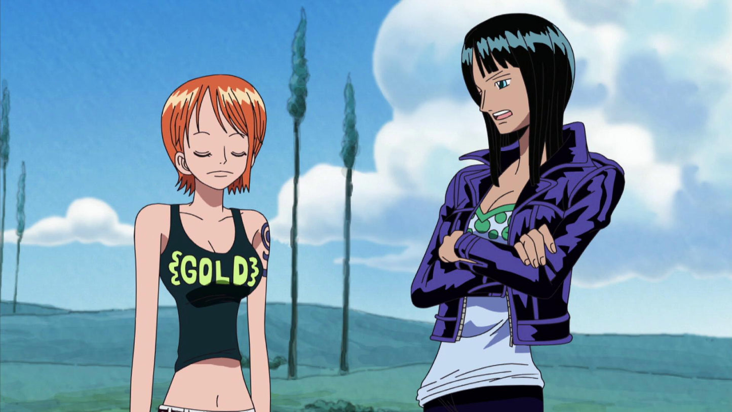 One Piece - Collection 9 DVD