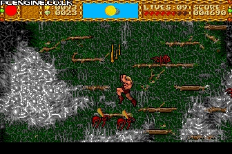 Shape Shifter - TurboDuo