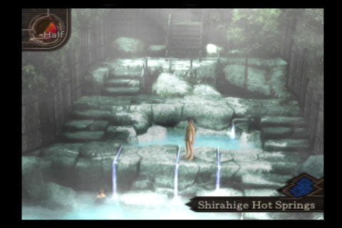 Shin Megami Tensei: Devil Summoner 2 - Raidou Kuzunoha vs. King Abaddon for the PlayStation 2