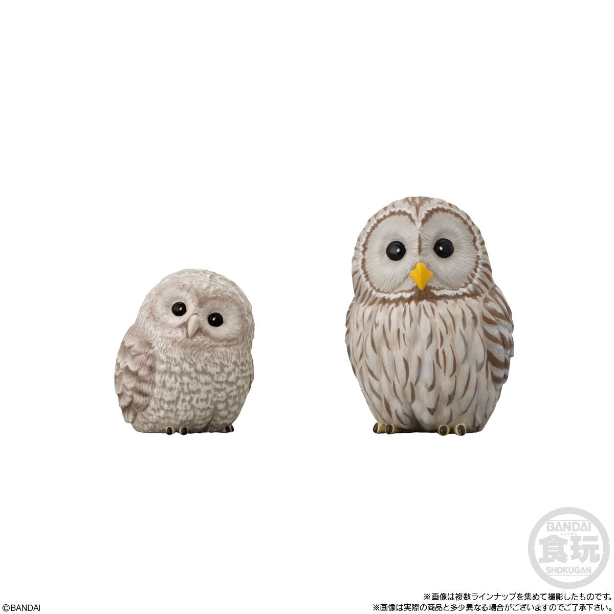 Bandai - Tenori Friends Birds: Collection 7 Figure