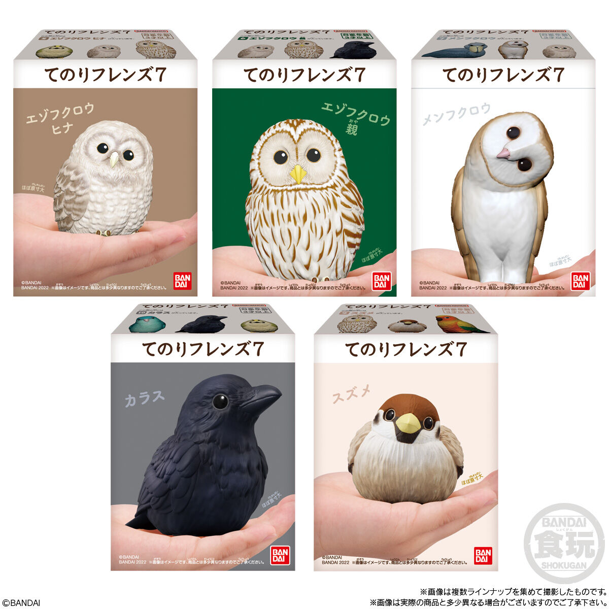 Bandai - Tenori Friends Birds: Collection 7 Figure