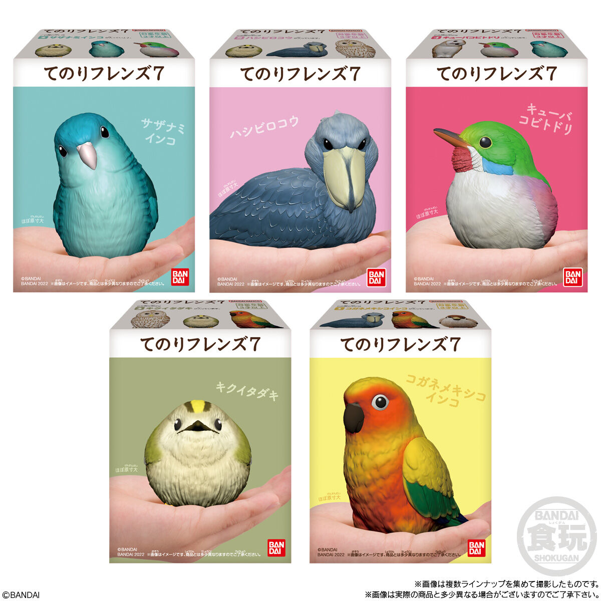 Bandai - Tenori Friends Birds: Collection 7 Figure