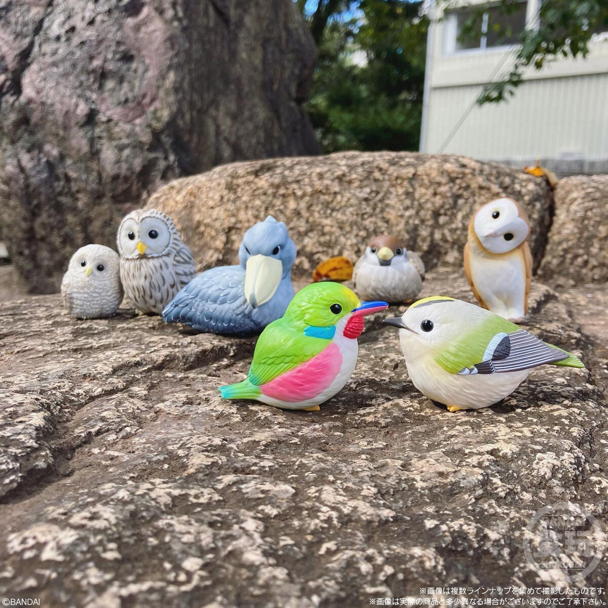 Bandai - Tenori Friends Birds: Collection 7 Figure