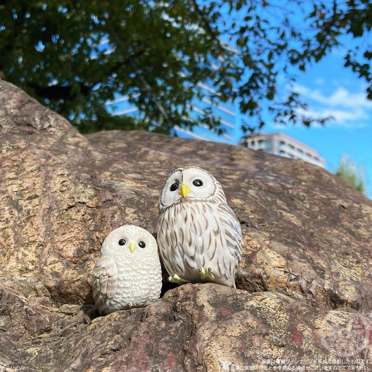 Bandai - Tenori Friends Birds: Collection 7 Figure