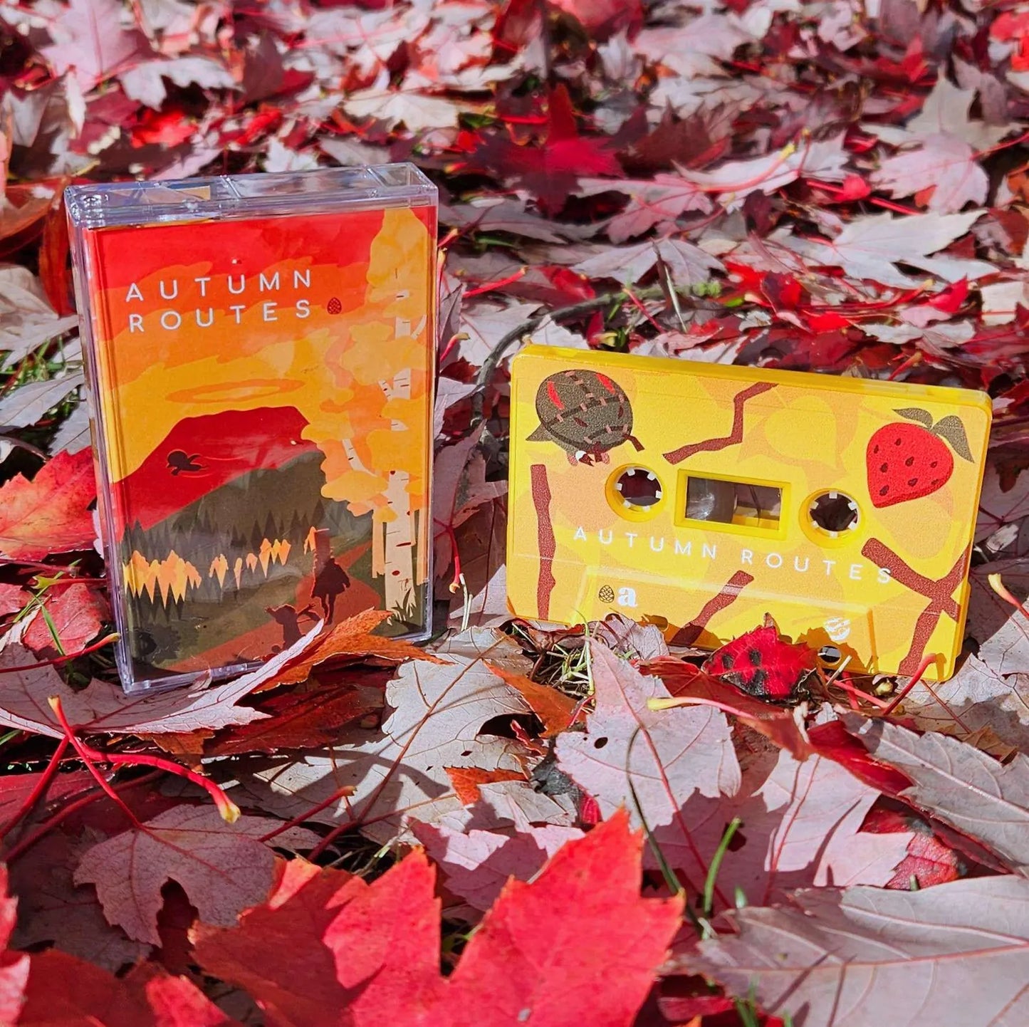 TTCassettes - Autumn Routes Sound Selections Cassette
