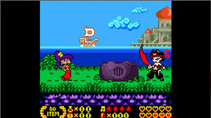 LIMITED RUN: Shantae - Nintendo Gameboy Color