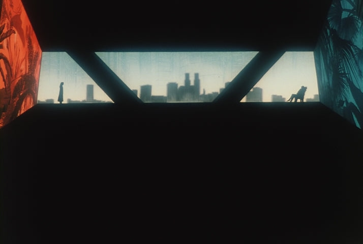 Twilight of the Dark Master VHS