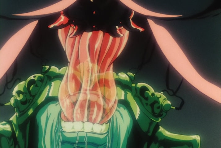 Twilight of the Dark Master VHS