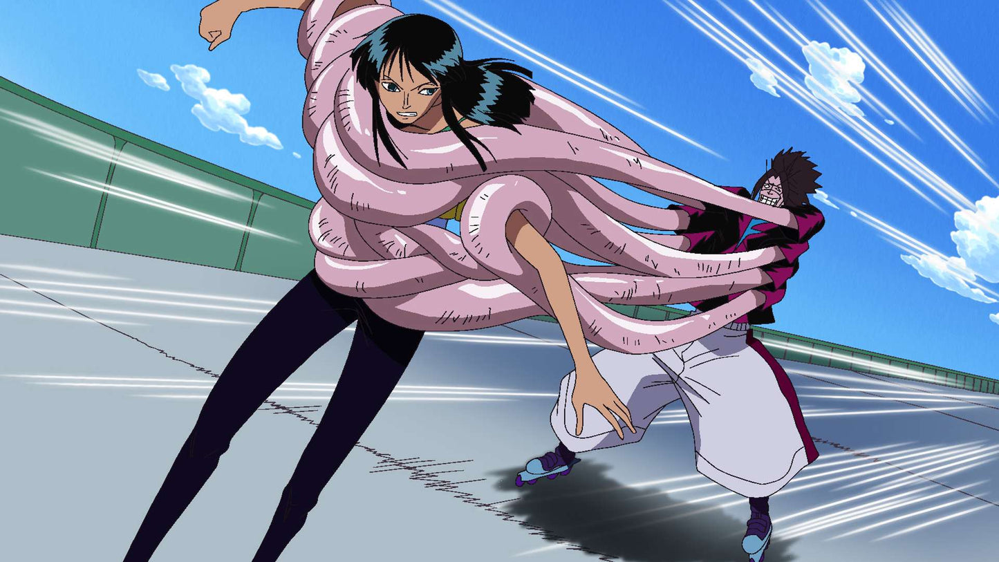 One Piece - Collection 9 DVD