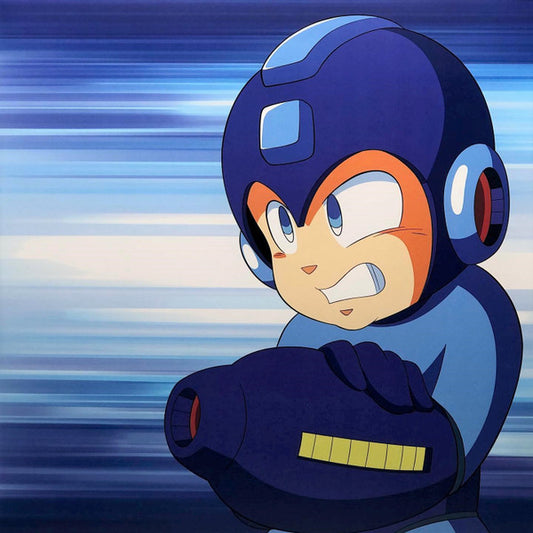 SSBU Mega Man Selections Vinyl Record